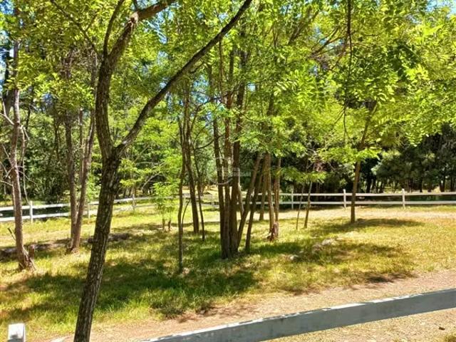 Local Comercial en venta en El Corral, Freire