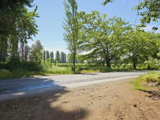 Industrial en Venta en Maule