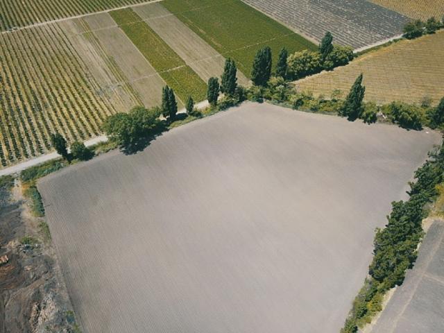 Industrial en Venta en Maule