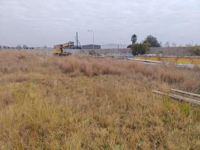 Land for sale in Oranjeville, Free State