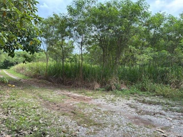Property for sale in Arau, Perlis