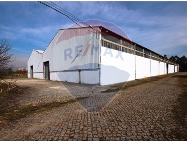 Terreno alugar em Braga
