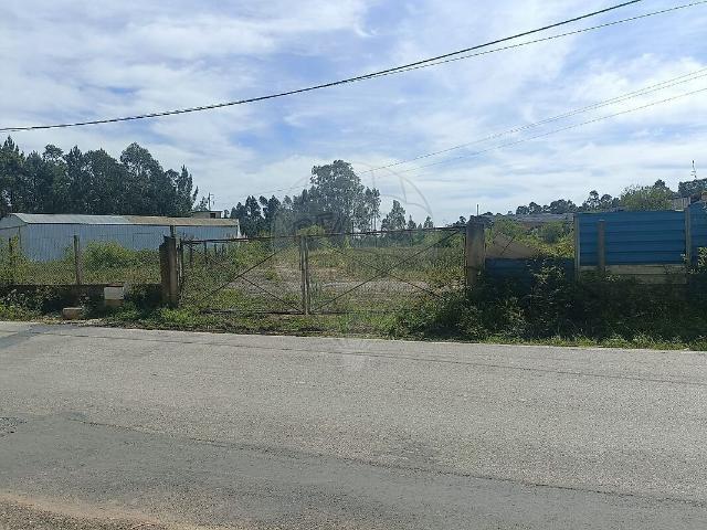 Armazém alugar em Avelãs de Caminho, Anadia