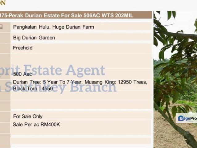 Warehouse for sale in Perak, Ulu Perak