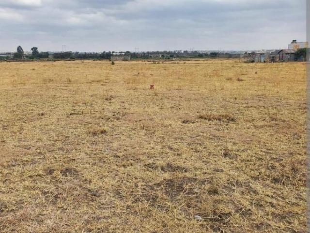 Land for sale