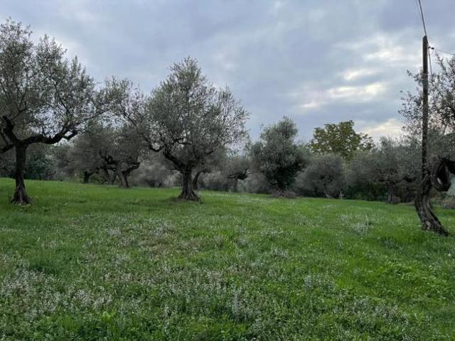 Locale Commerciale in vendita a Pianella, Abruzzo