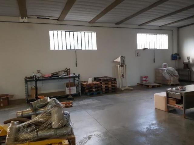 Capannone in affitto a Capannori, Lucca