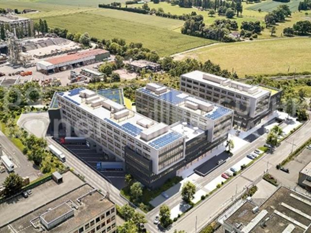 Atelier mieten in Satigny