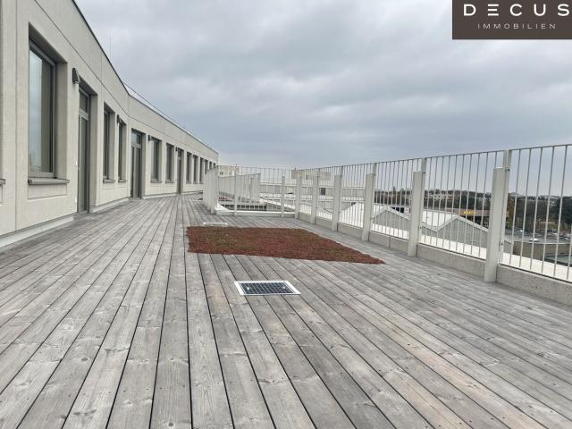 Büro mieten in Seestadt, Wien
