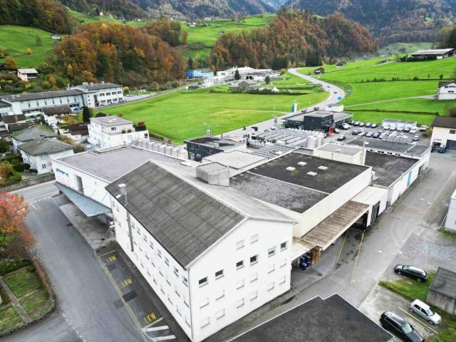 Immobilie kaufen in Mitlödi, Glarus