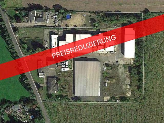 Erdgeschosswohnung kaufen in Storkwitz, Delitzsch