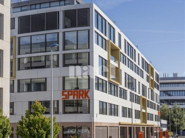 Wohnung mieten in Plan-les-Ouates