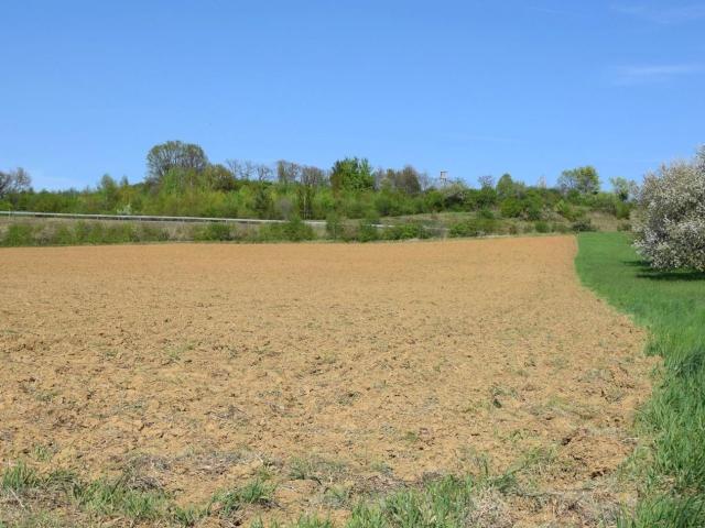 Grundstück kaufen in Oberwart, Burgenland