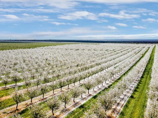 Land for sale in Monash, The Berri Barmera Council
