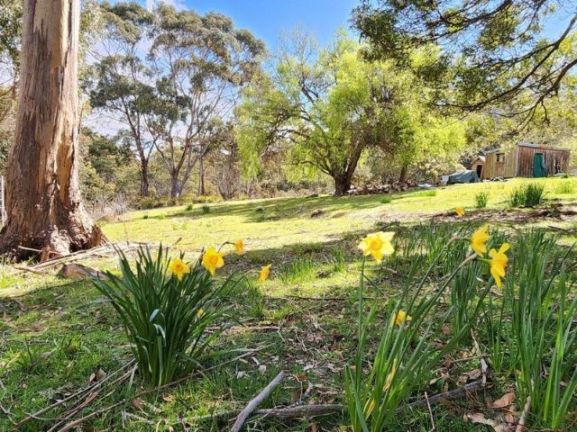 Land for sale in Cornwall, Break O'Day