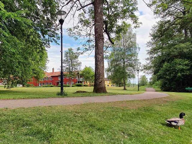 Lägenhet hyra i Ingelstad, Kronoberg