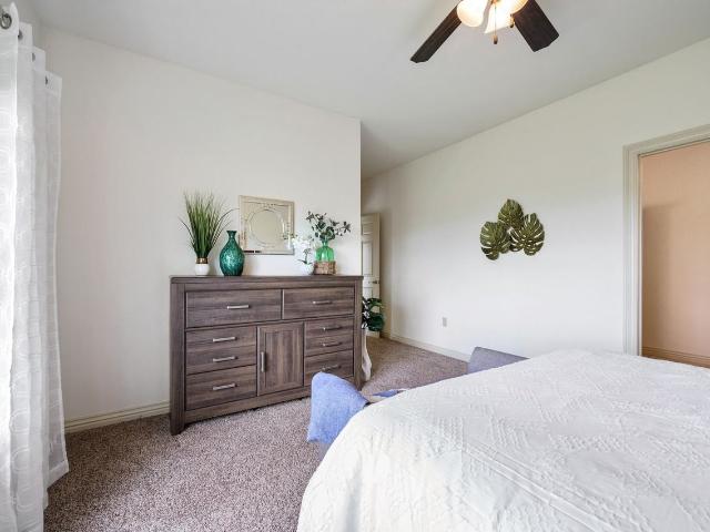 Apartment for rent in Springfield