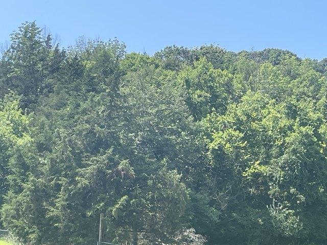 Land for sale in Tennessee