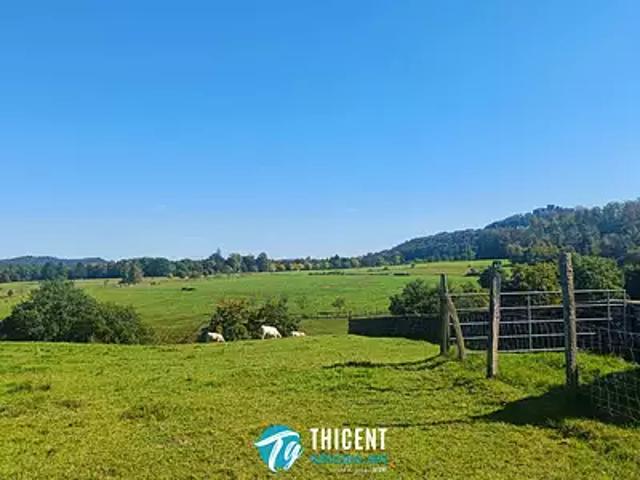Terrain vente à Ingwiller, Collectivité européenne d'Alsace