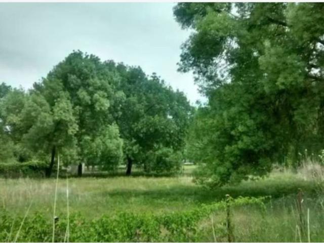 Terreno en venta en Escalona, Castilla-La Mancha