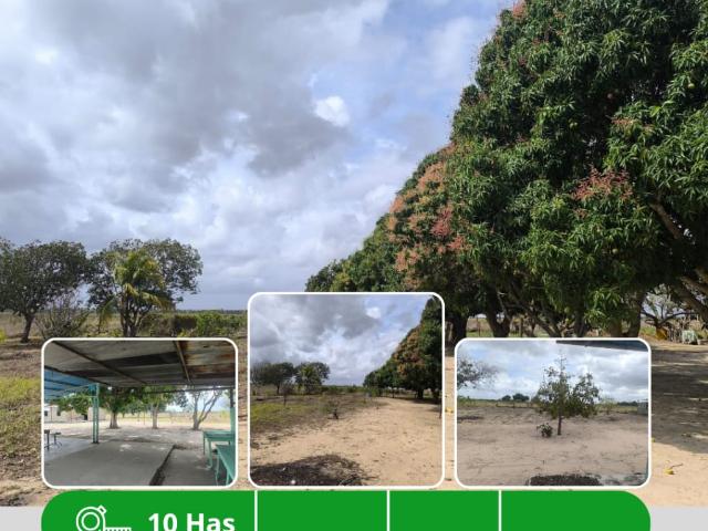 Terreno en venta en Santa Bárbara, Monagas