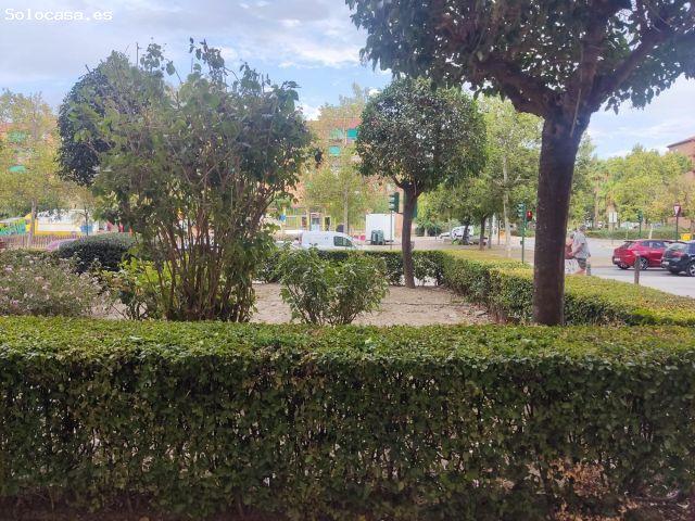 Local Comercial en alquiler en Norte, Comarca de la Vega de Granada