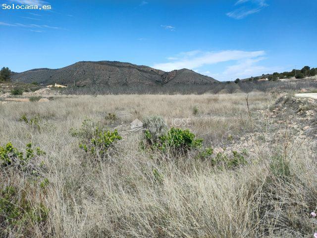 Local Comercial en venta en el Vinalopó Mitjà / El Vinalopó Medio, Valencia
