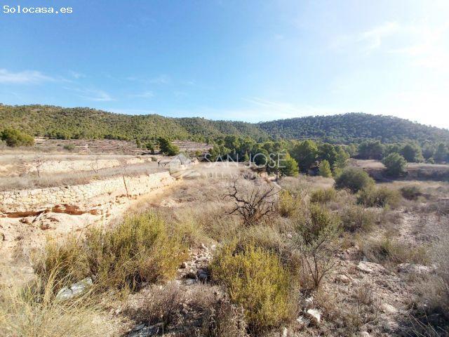 Local Comercial en venta en la Romaneta, el Vinalopó Mitjà / El Vinalopó Medio