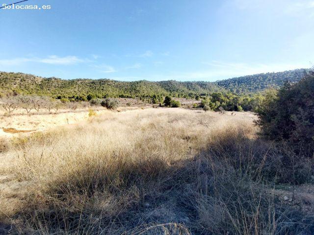 Local Comercial en venta en Cases del Senyor, el Vinalopó Mitjà / El Vinalopó Medio