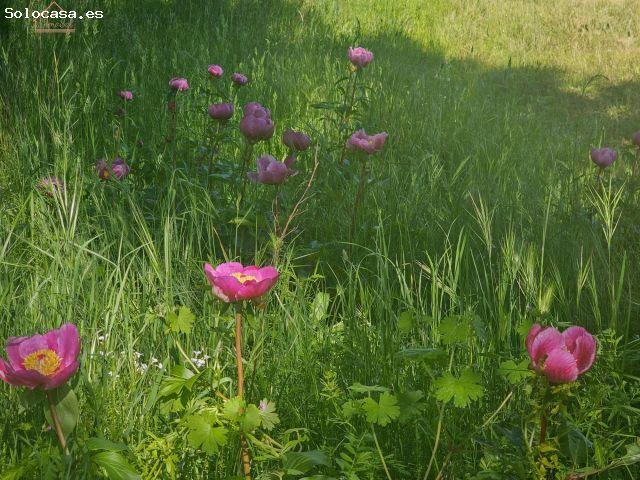 Local Comercial en venta en Valdemorillo De La Sierra, Cuenca