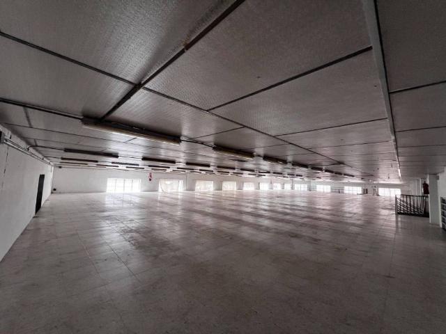 Local Comercial en alquiler en el Baix Segura / La Vega Baja, Valencia