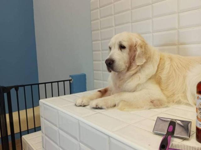 Local Comercial en alquiler en l'Alacantí, Valencia