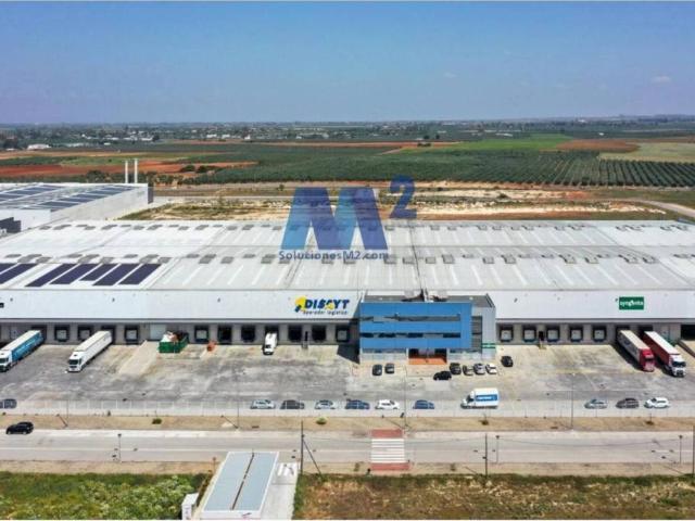 Local Comercial en alquiler en Carmona, Andalucía
