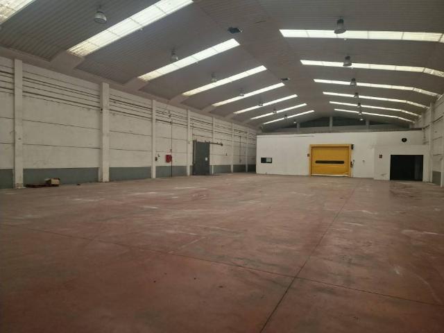 Local Comercial en alquiler en Casarrubios Del Monte, Polígono Industrial Monte Boyal