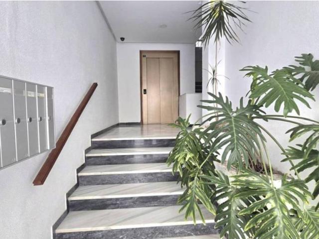 Local Comercial en alquiler en Bahía de Cádiz, Andalucía