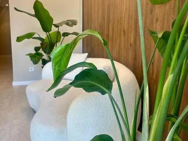 Local Comercial en alquiler en Almeda, Baix Llobregat