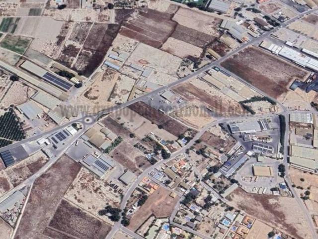 Local Comercial en alquiler en el Baix Segura / La Vega Baja, Valencia