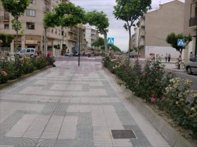 Local Comercial en alquiler en Cinco Villas, Aragón
