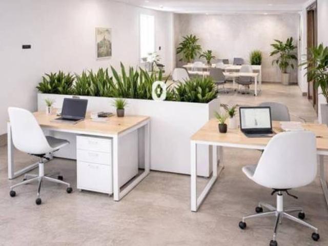 Local Comercial en alquiler en Raiguer, Baleares