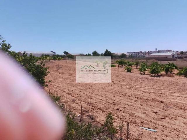 Local Comercial en alquiler en Iniesta, Castilla-La Mancha