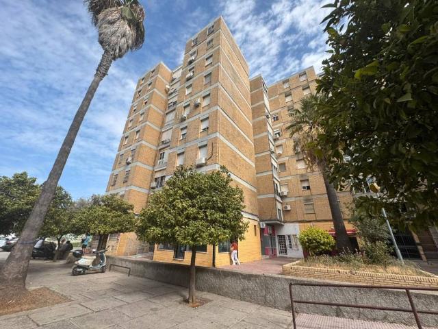 Local Comercial en alquiler en Campiña de Jerez, Andalucía