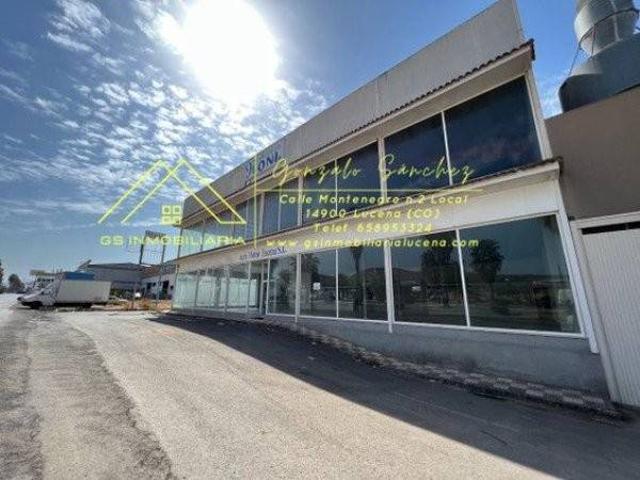 Local Comercial en alquiler en Lucena