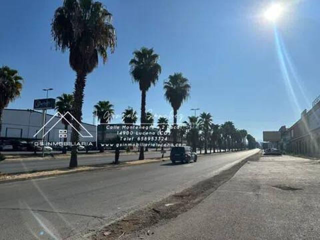Local Comercial en alquiler en Lucena, Andalucía