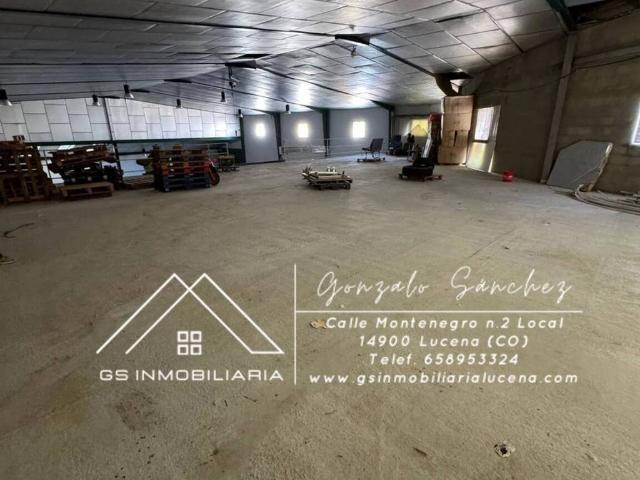 Local Comercial en alquiler en Lucena