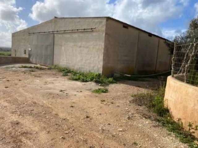 Local Comercial en alquiler en Manacor