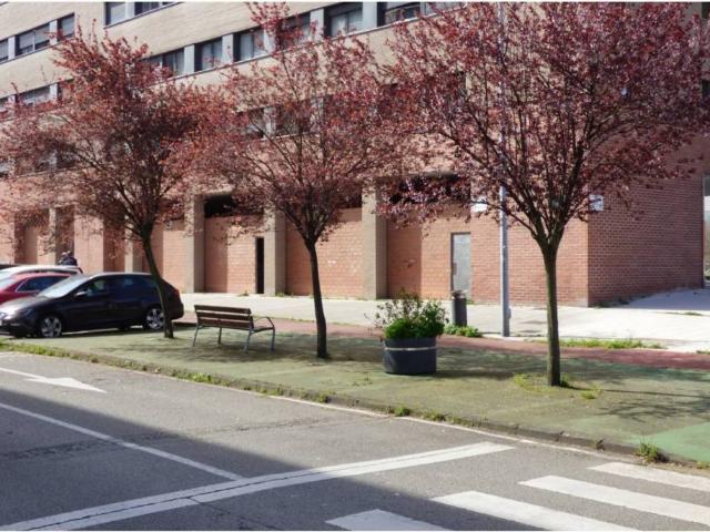 Local Comercial en alquiler en Mieres, Asturias
