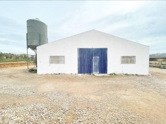 Local Comercial en alquiler en Antequera, Andalucía