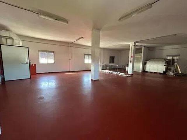 Local Comercial en alquiler en Moraleja, Extremadura