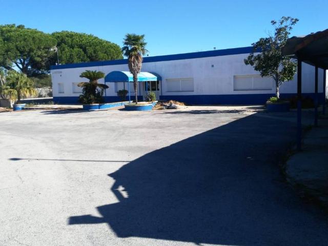 Local Comercial en alquiler en Puerto Real