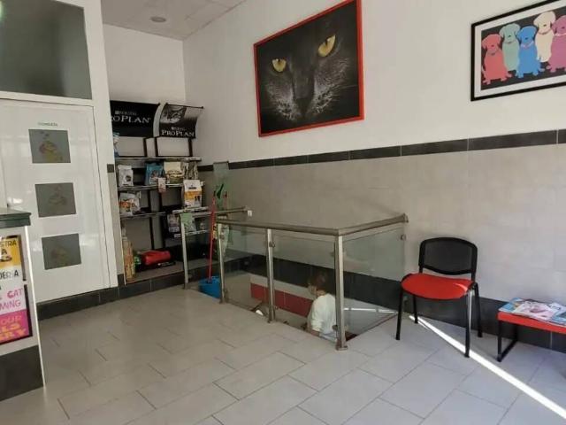 Local Comercial en alquiler en Campo de Gibraltar, Andalucía